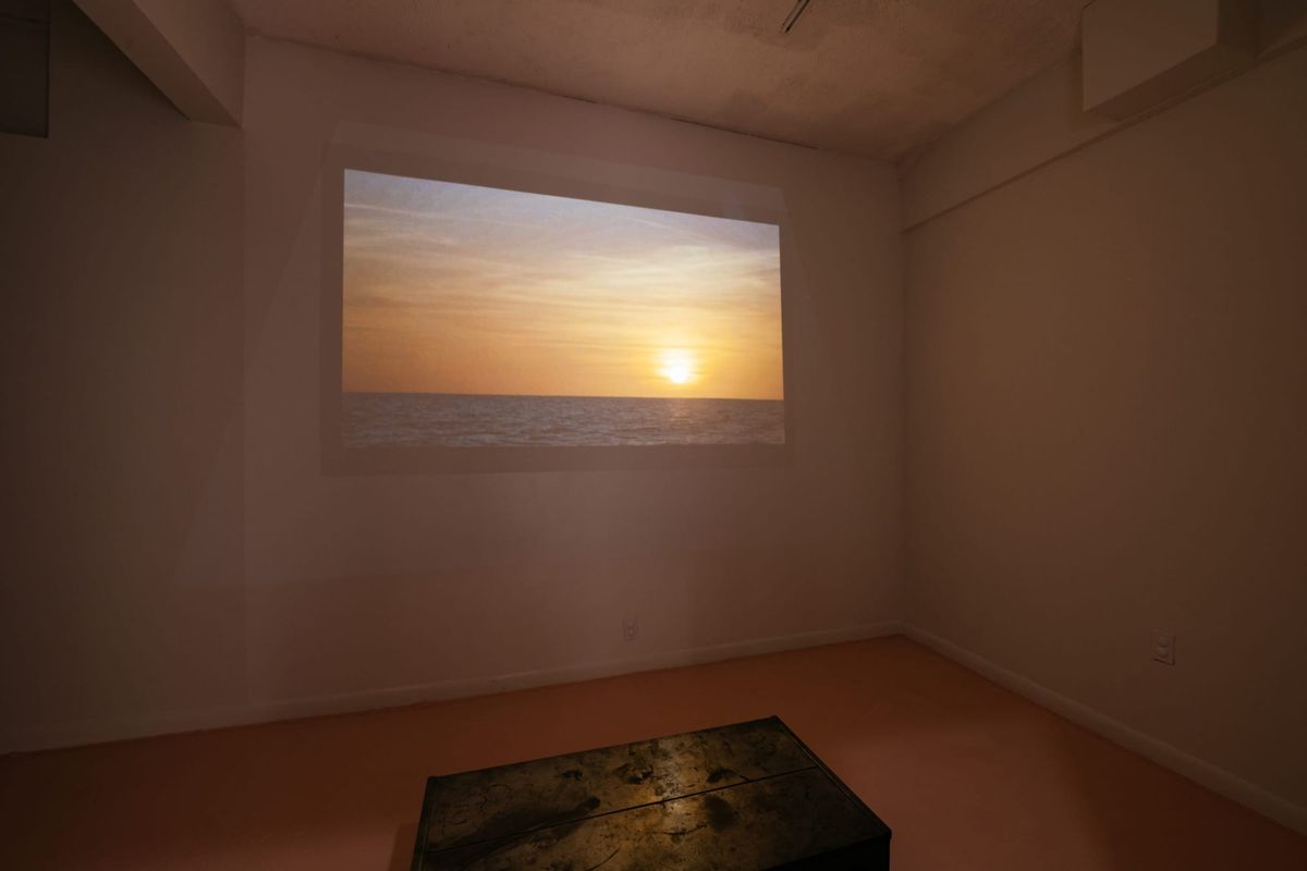 Channeling the Rhythms of Nature, Sasha Wortzel Sets the Mood for Contemplation