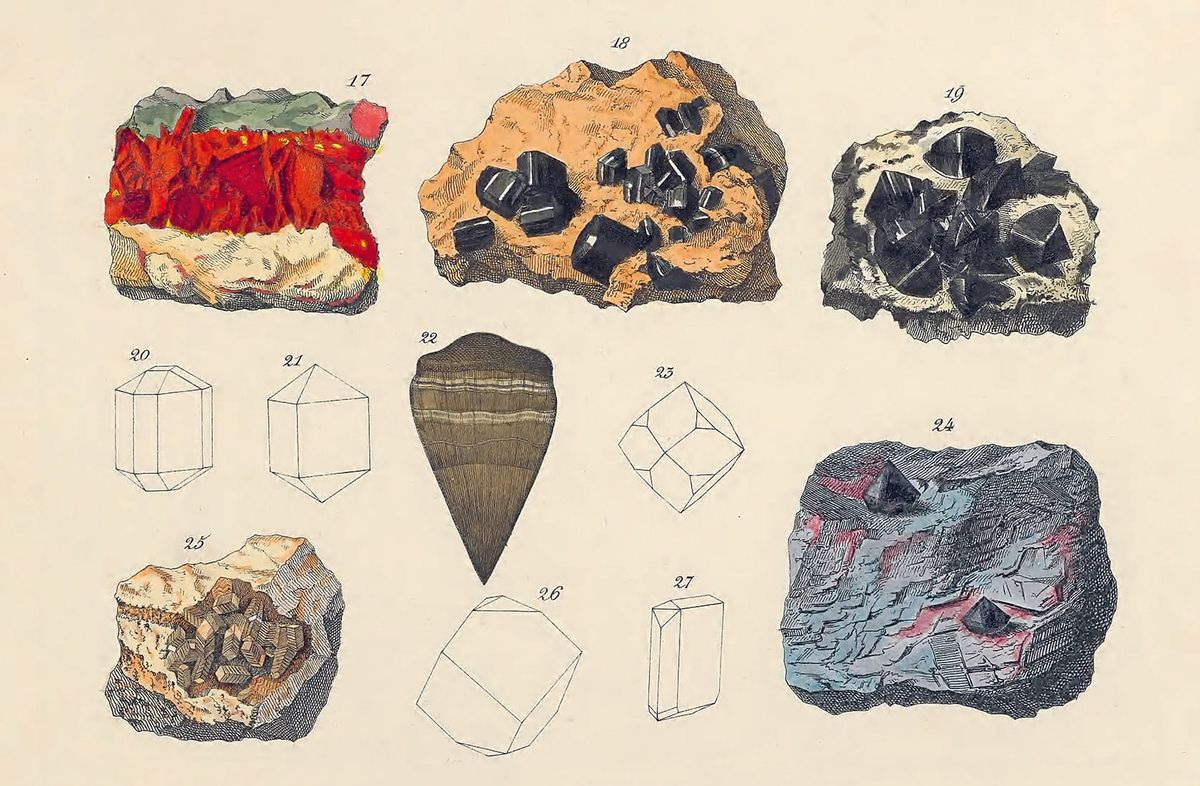 A Beautiful Guide to Colors in the Natural World, Revisited 200 Years Later