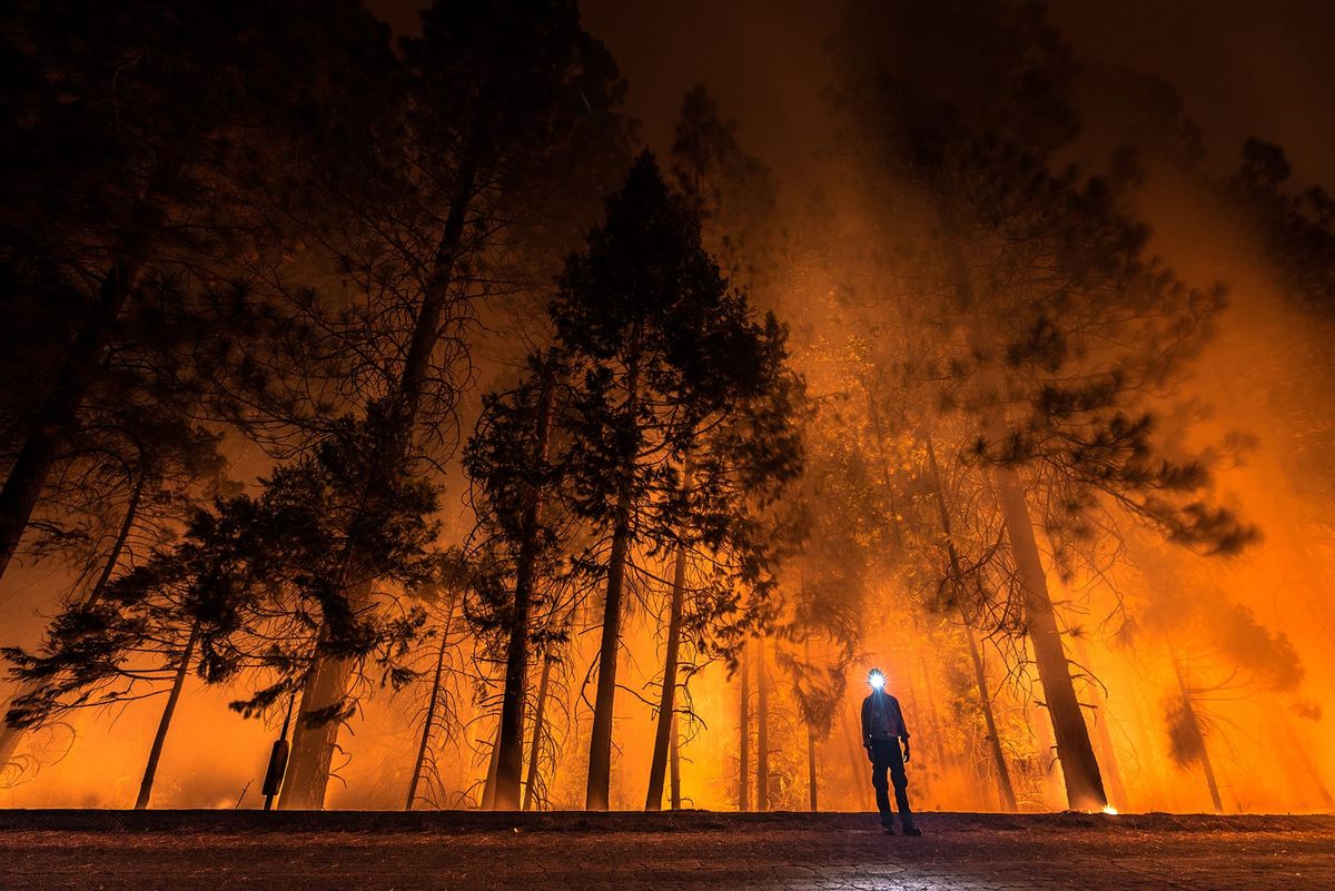 Mana Contemporary in Jersey City Presents Implied Scale: Confronting the Enormity of Climate Change