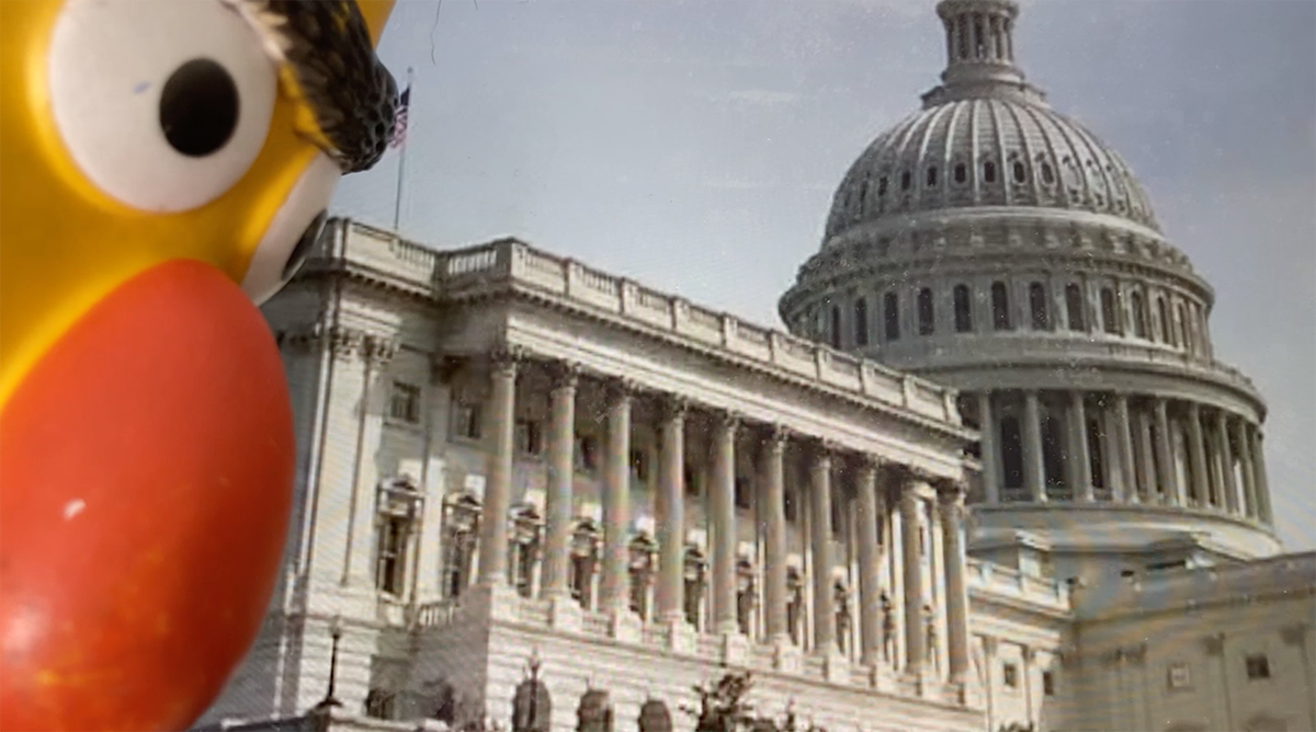 An Artist’s Crash Course in Government