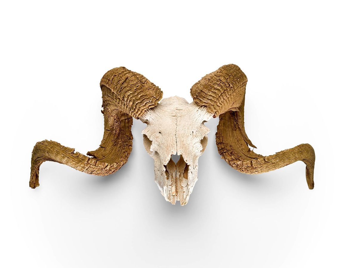 Whimsical Georgia O'Keeffe and Andy Warhol Ephemera Sell at Auction