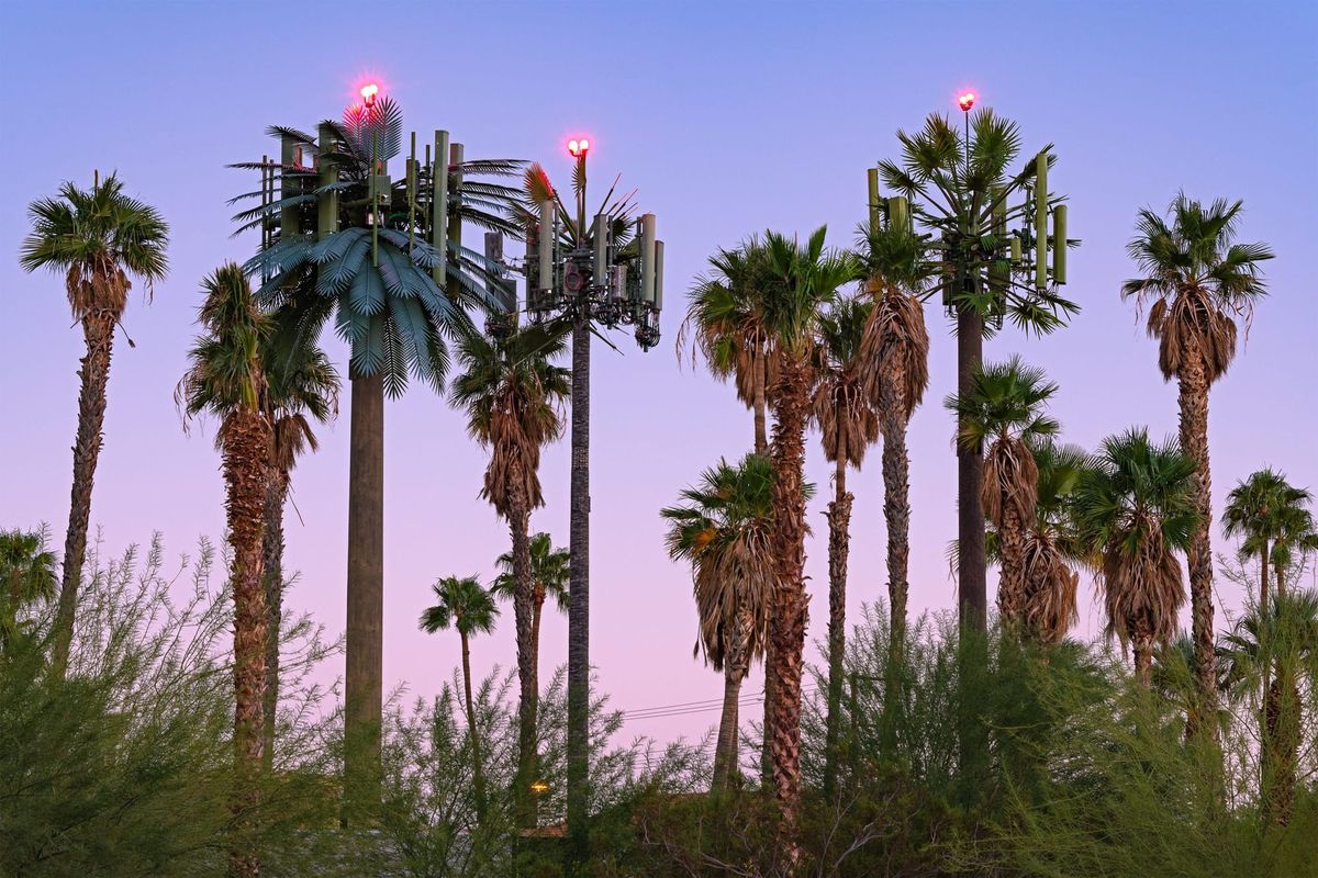 When Cell Phone Towers Cosplay as Trees