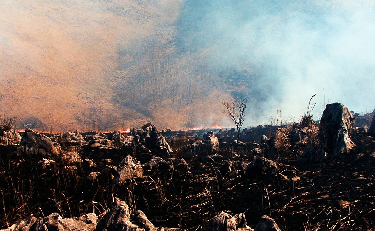 Berlin’s KW ICA Launches KW Digital and Its Inaugural Exhibition The Last Museum