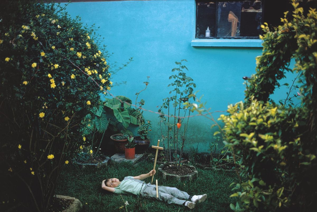 Joel Meyerowitz’s Wild Flowers Is a Reminder That the World Is Still Blooming