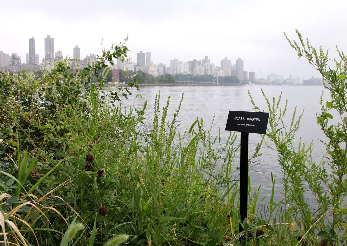 Why We Can't Abandon Our Efforts to Revitalize NYC Culture