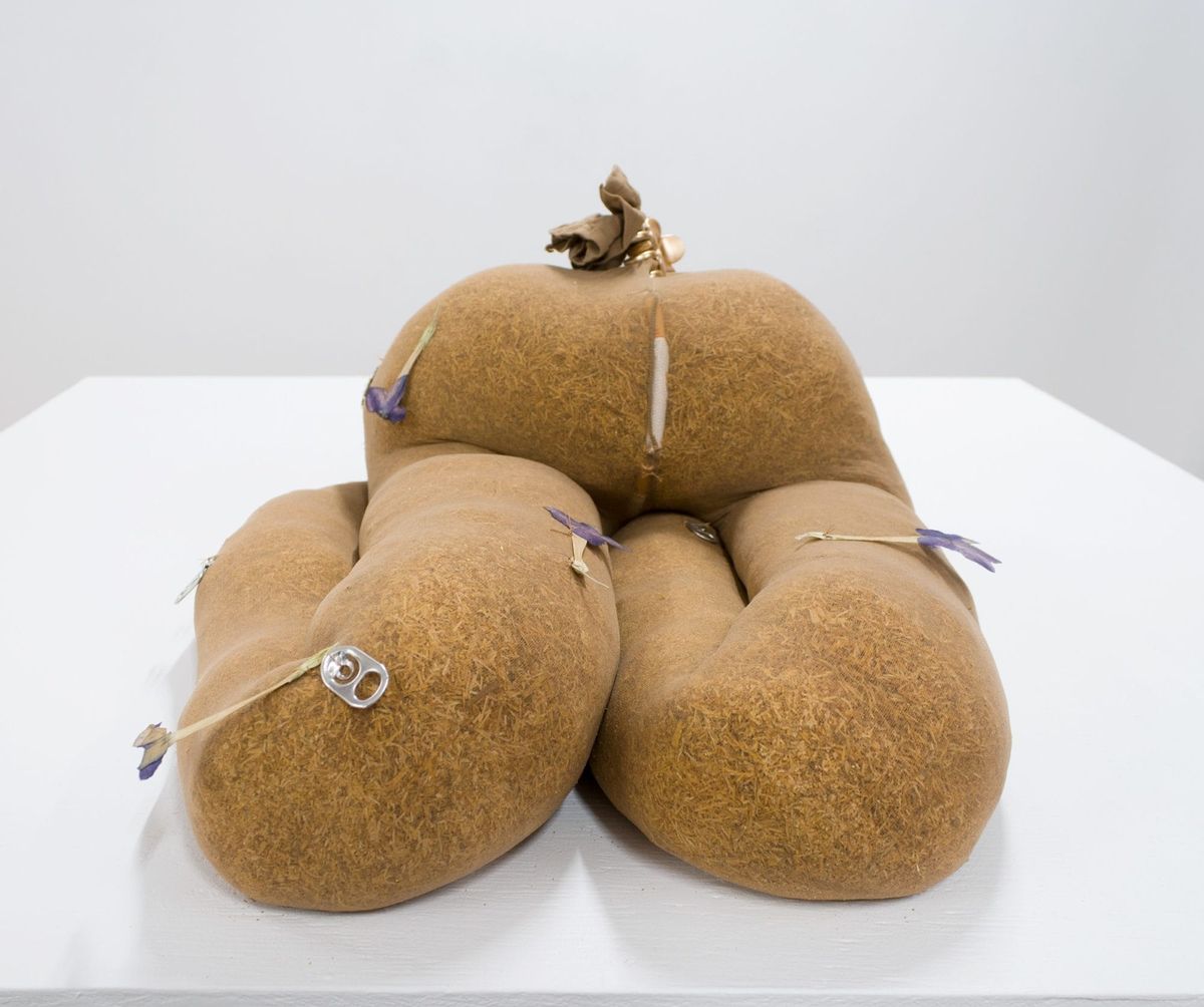 Working With Tobacco, Gabrielle L’Hirondelle Hill Offers Decolonial Possibilities