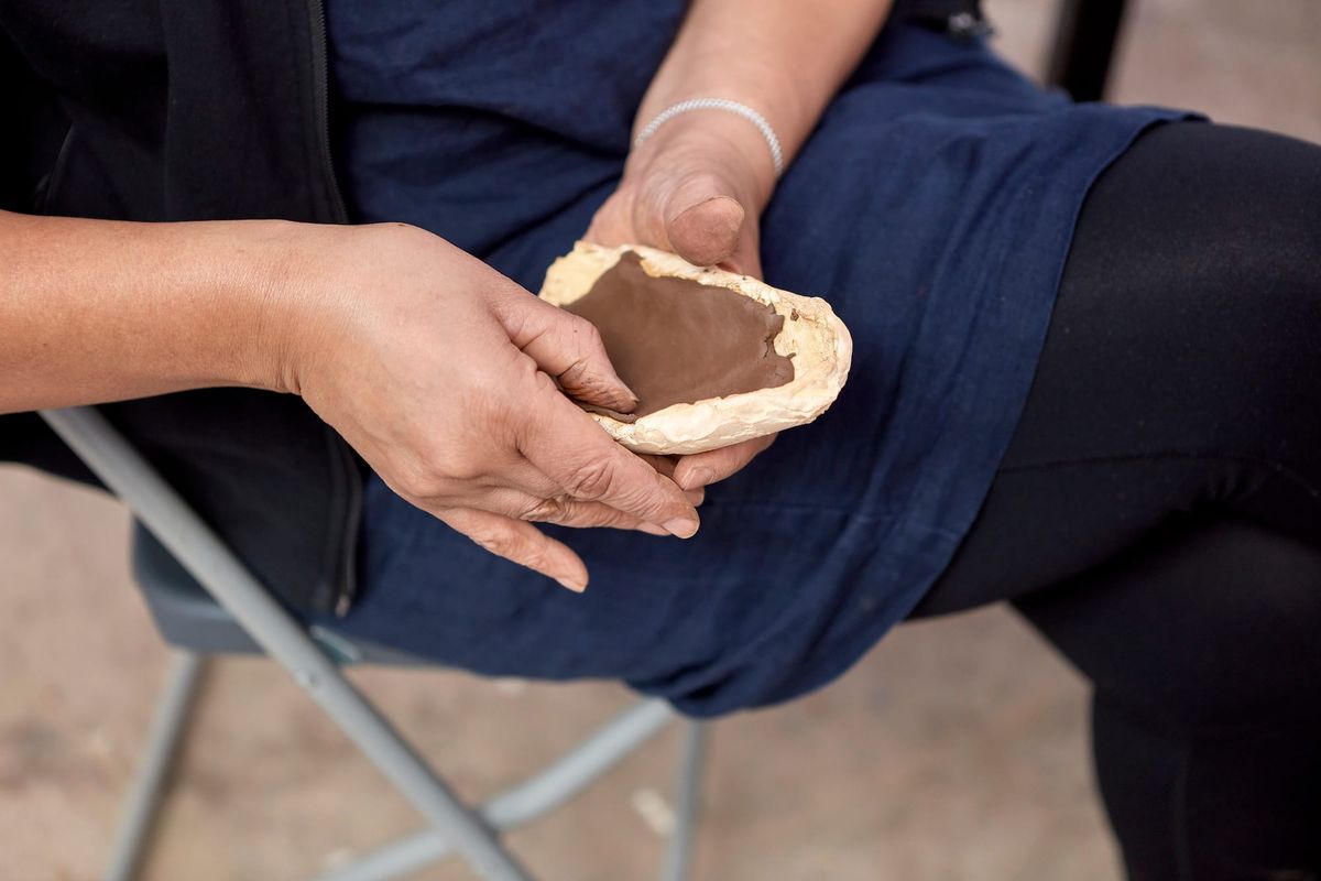 Veronica Ryan’s Botanical Musings on Migration