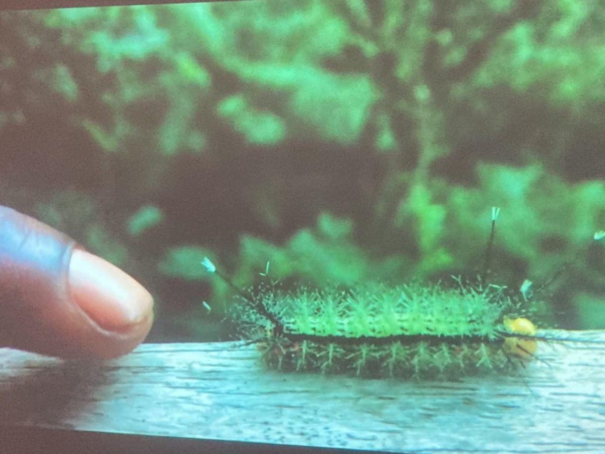 QTPOC Artists Mine the Power of Intimacy