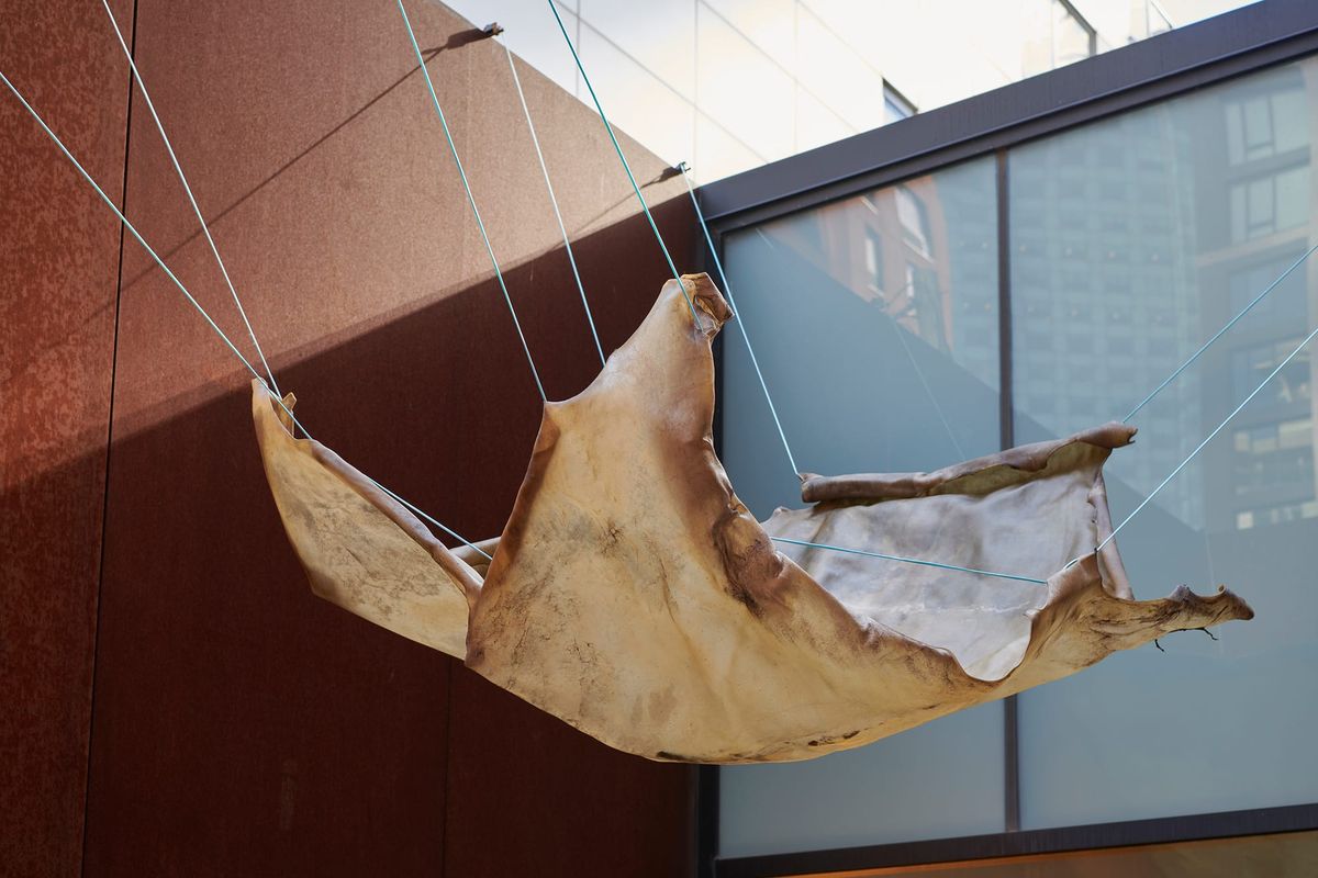 Rindon Johnson Ruminates on the Expansiveness of Identity