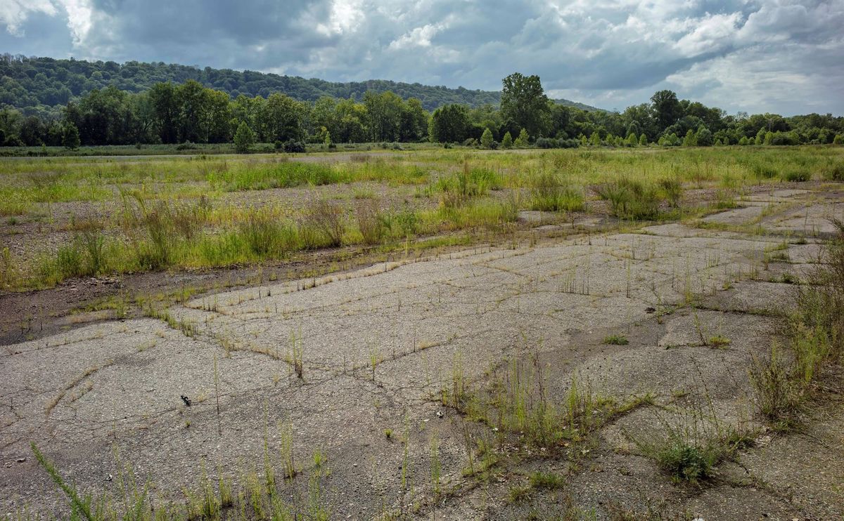 ArtYard’s Living Exhibition Unfolds in Real Time in New Jersey