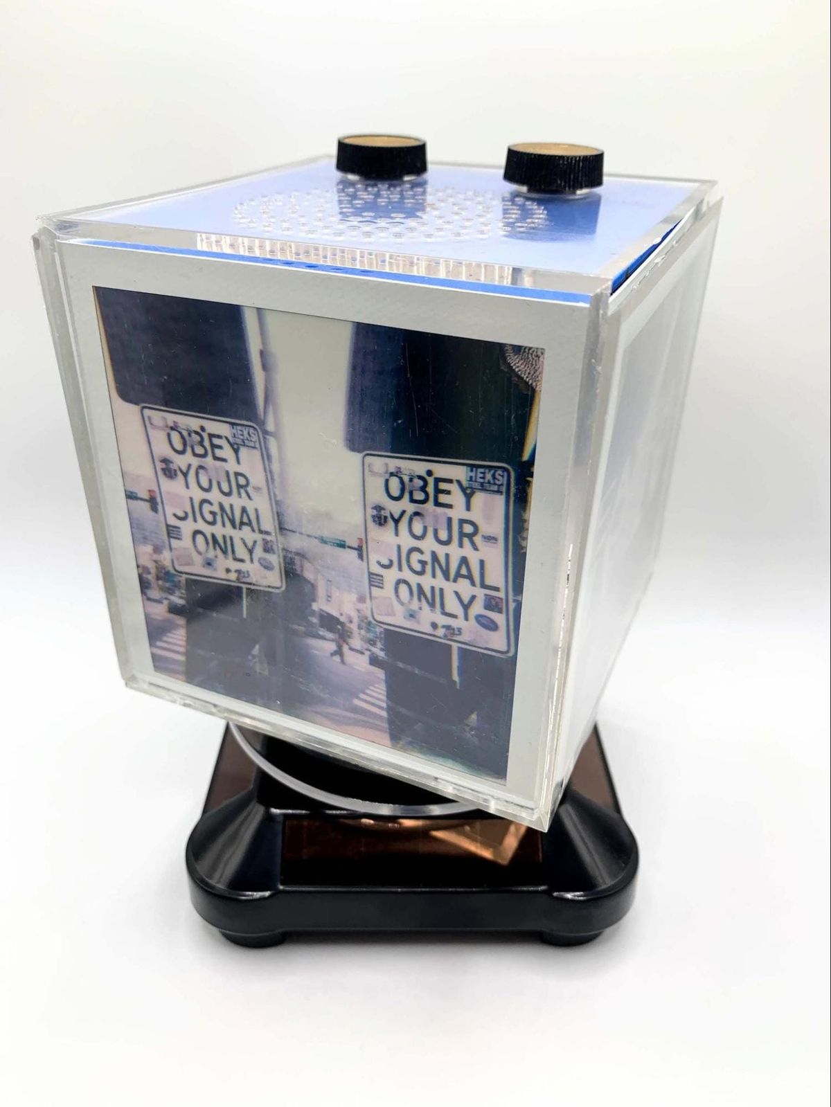 At Ars Electronica 2021, SAIC Art & Technology Studies Presents the Chicago Garden