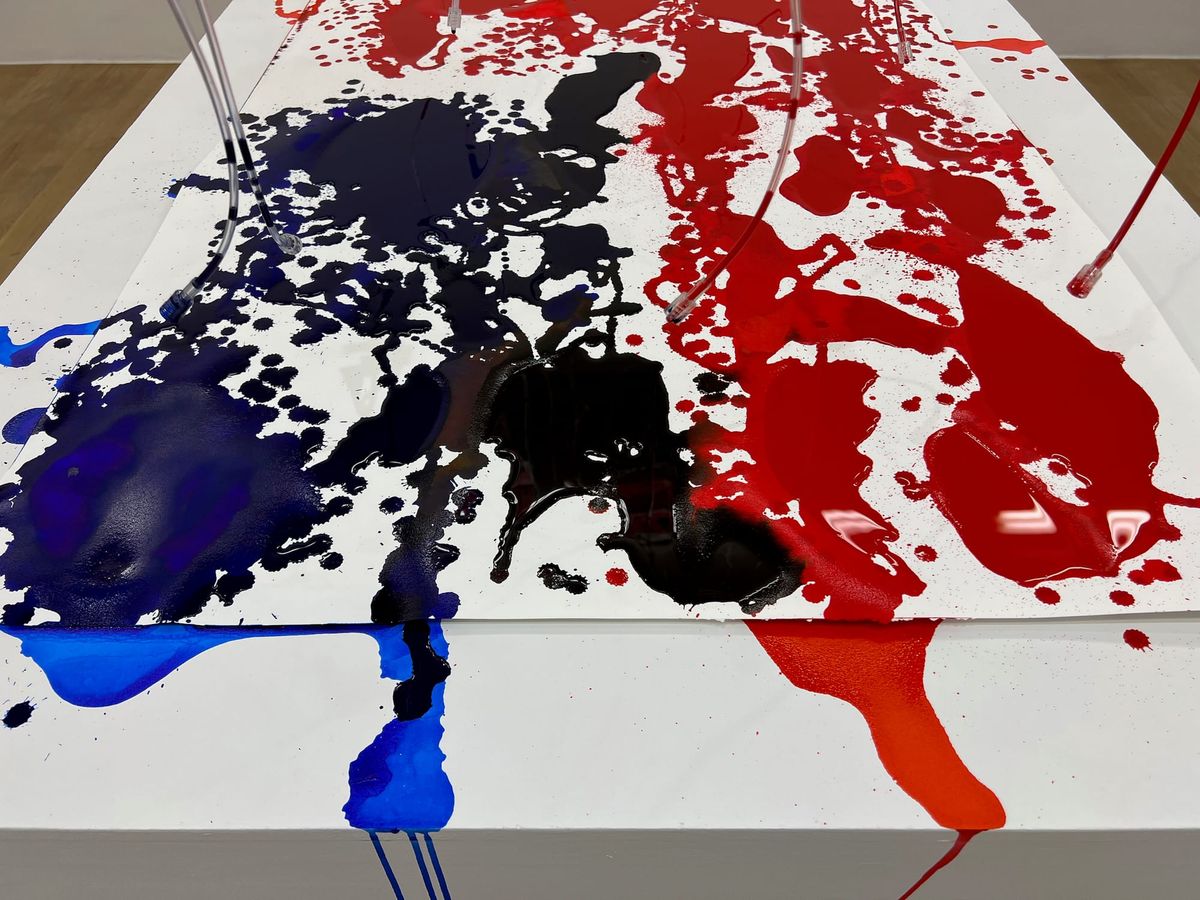 Addie Wagenknecht’s Fraying of America