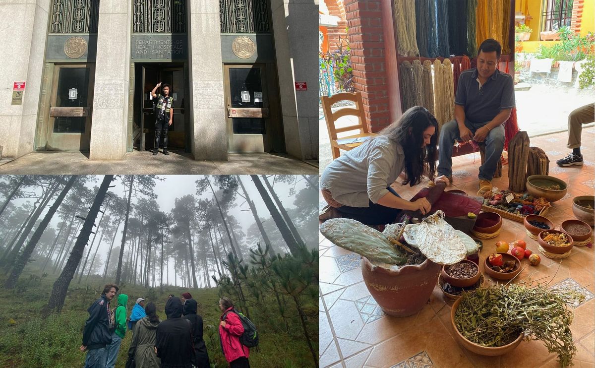 The Versatile Nomad MFA Looks From the Present to the Future