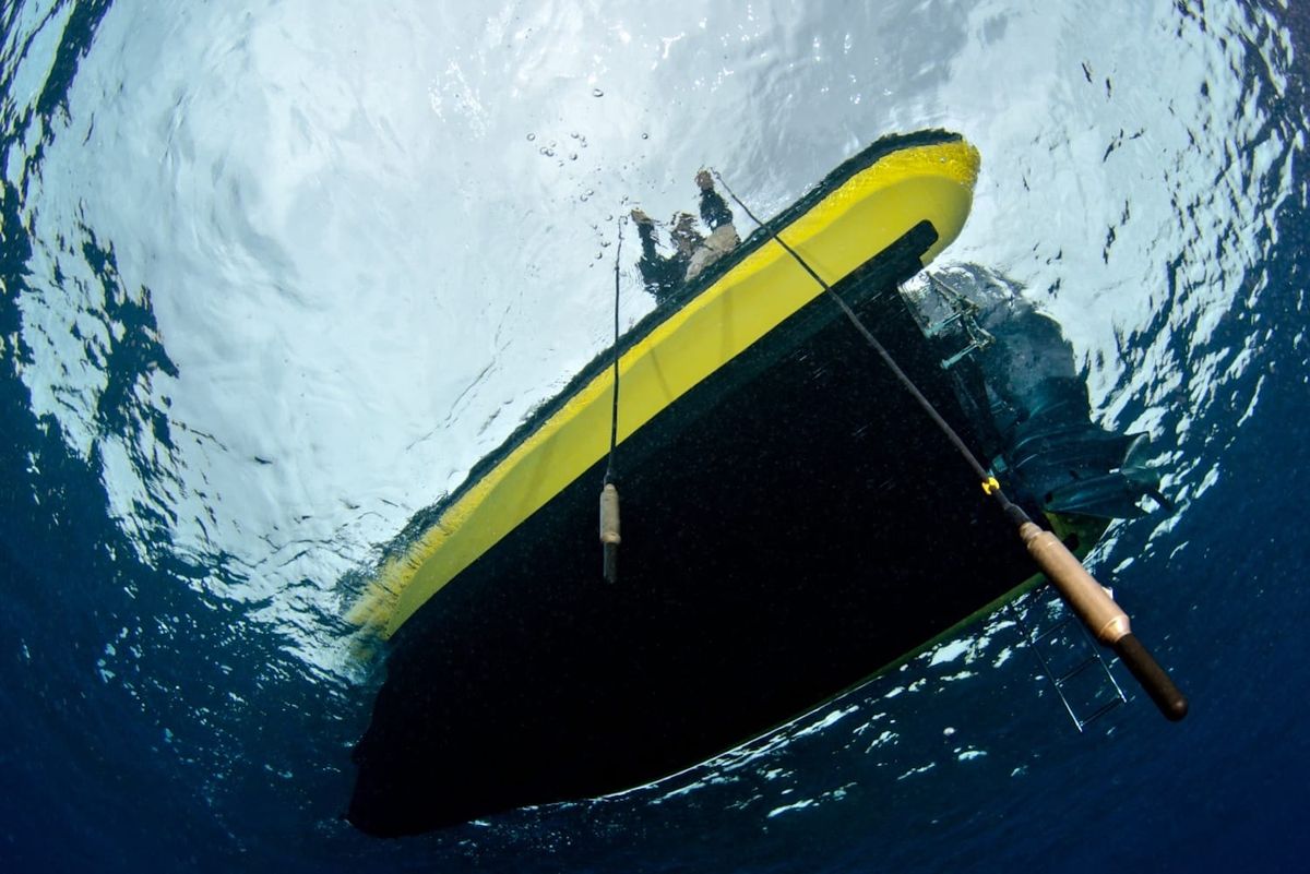 Experience Jana Winderen’s The Art of Listening: Under Water at Columbia University