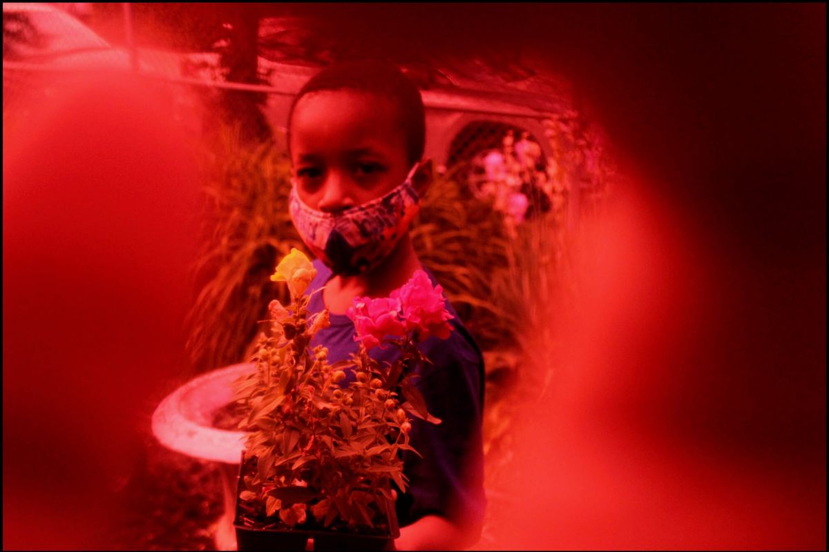 A Remarkable Online Show of Young Photography