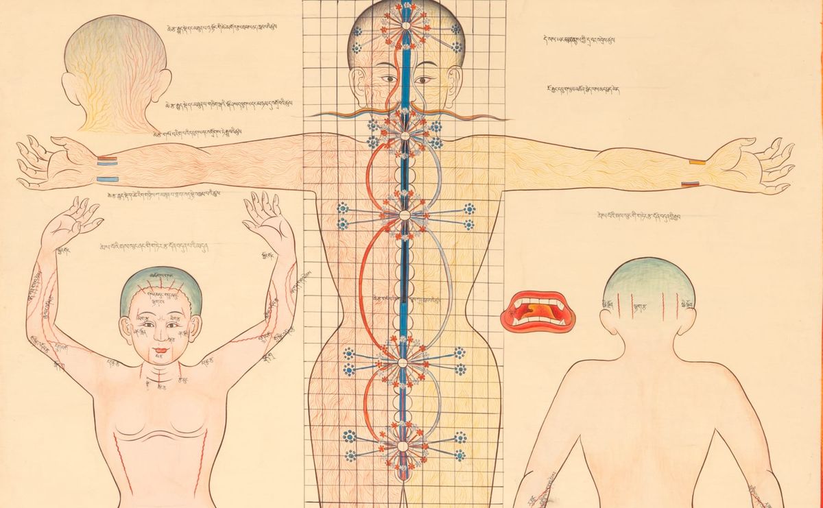 The Rubin Museum Presents Healing Practices: Stories from Himalayan Americans