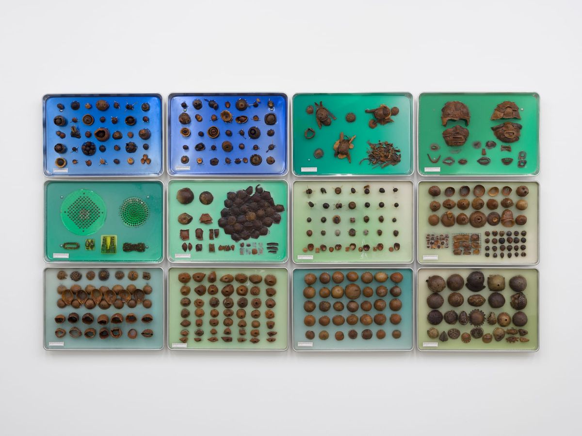 The Experimental Laboratory of Artist-Inventor Carl Cheng