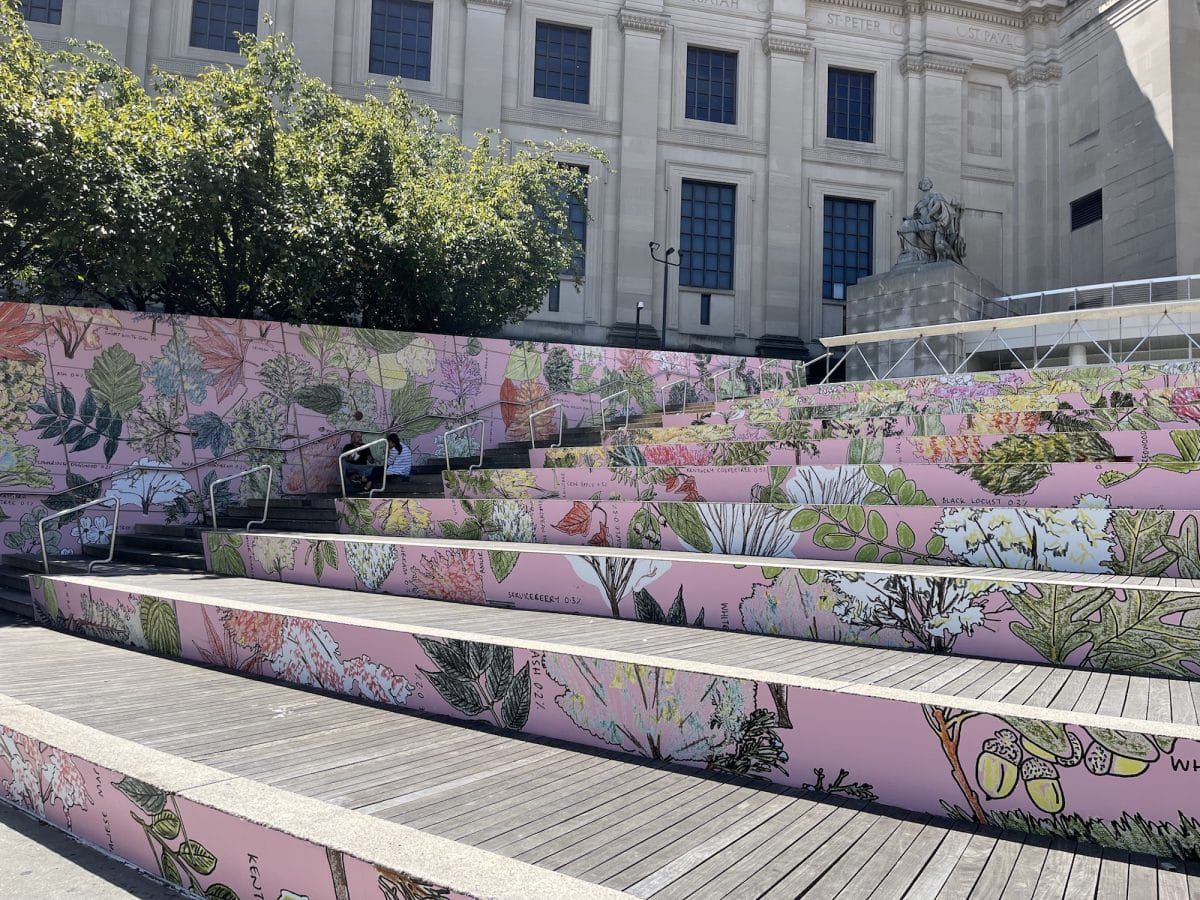 Who Gets to Enjoy Green Spaces in NYC?