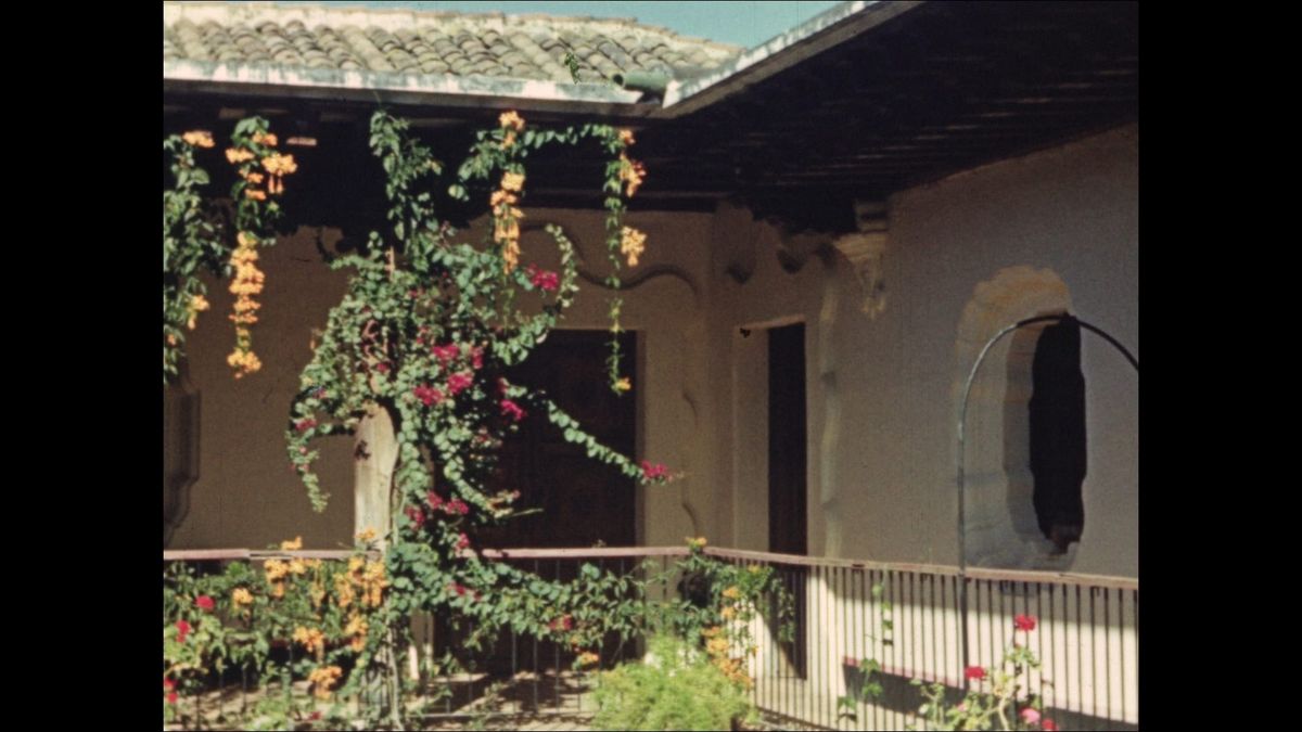 Documentary on Women's Freedom of Movement, or Lack Thereof