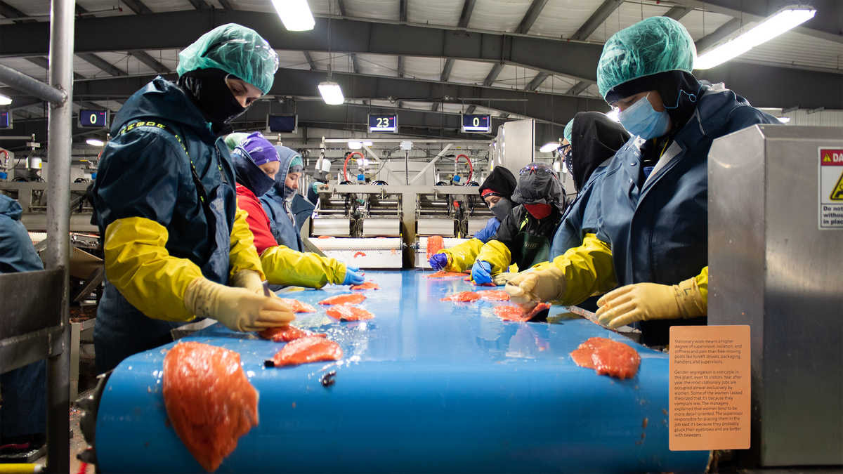 ASU’s Top-Ranked MFA Includes a Three-Year Teaching Assistantship