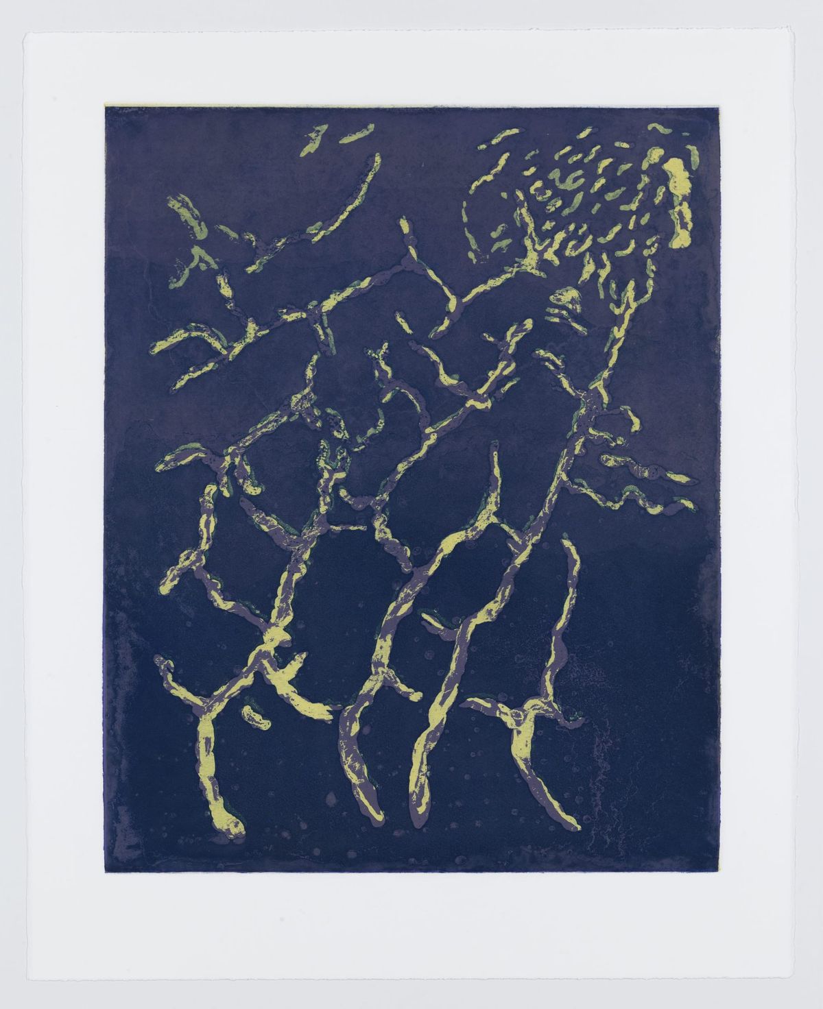 PAFA’s Brodsky Center Presents New Editions by Zoë Charlton and Nell Painter