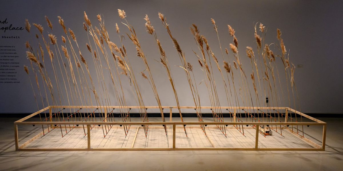 University of Michigan’s Stamps School of Art & Design Offers a Unique MFA Experience