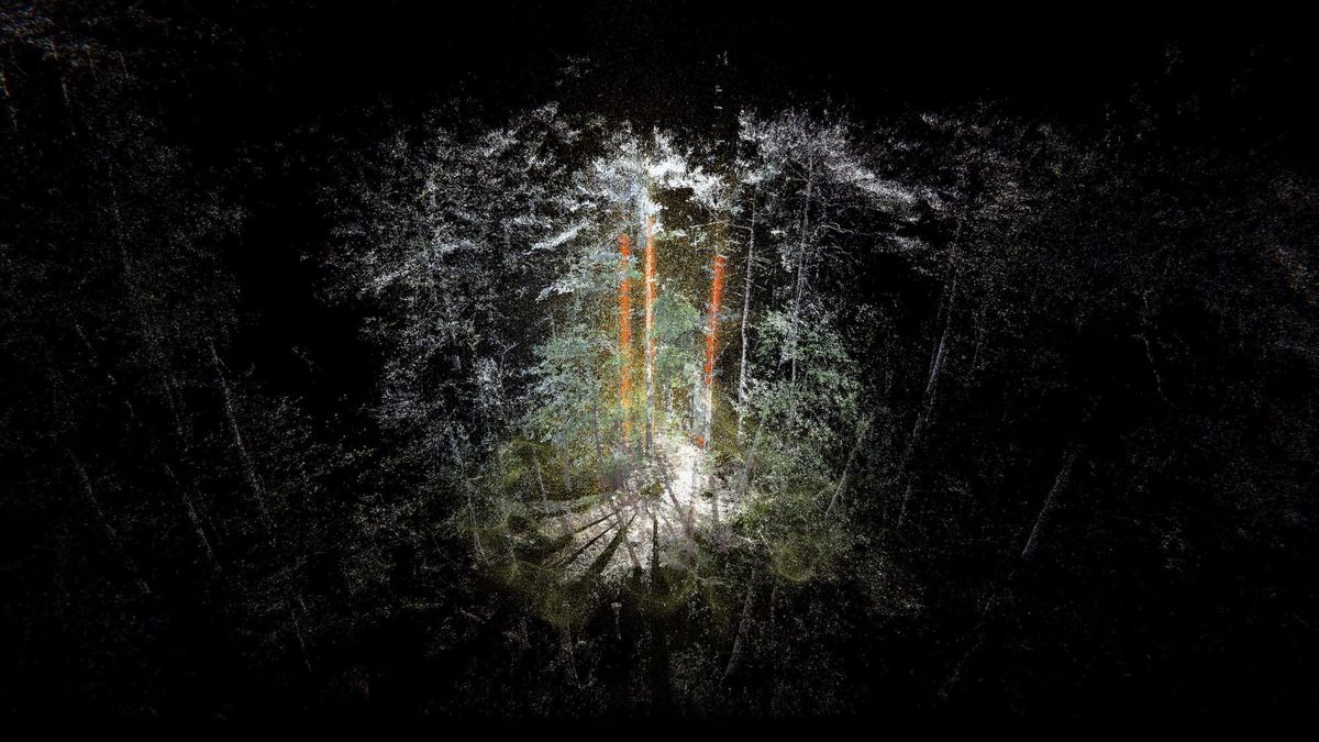 Onsite Gallery Presents more-than-human