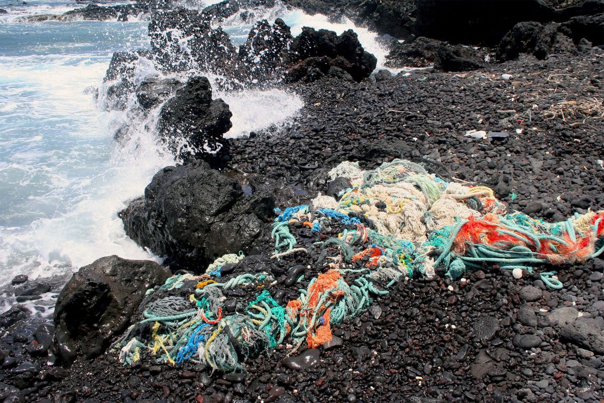 A Crowd-Sourced Archive of Our Oceans’ Plastics