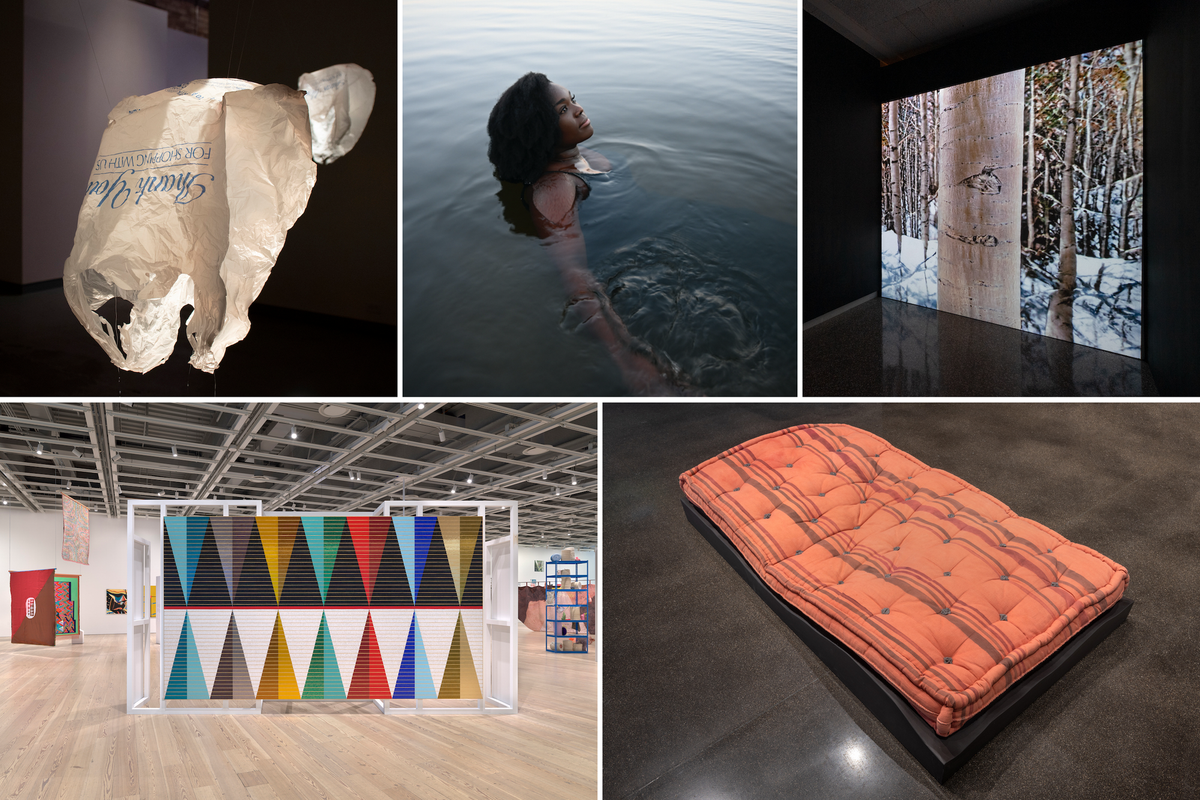 McKnight Visual Artist Fellows Discussion Series at the Minneapolis Institute of Art