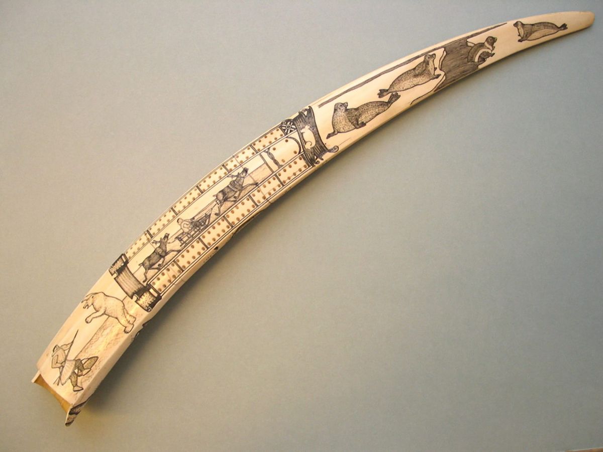 The Wider World and Scrimshaw