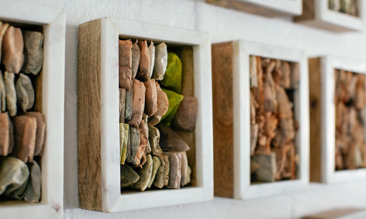 Enhance Your Practice With SVA Continuing Education Courses, Workshops, Residencies