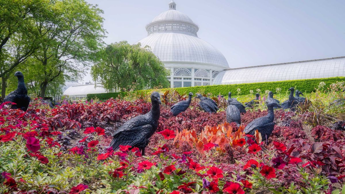 Don’t Miss Ebony G. Patterson’s Summer Art Exhibition at the New York Botanical Garden