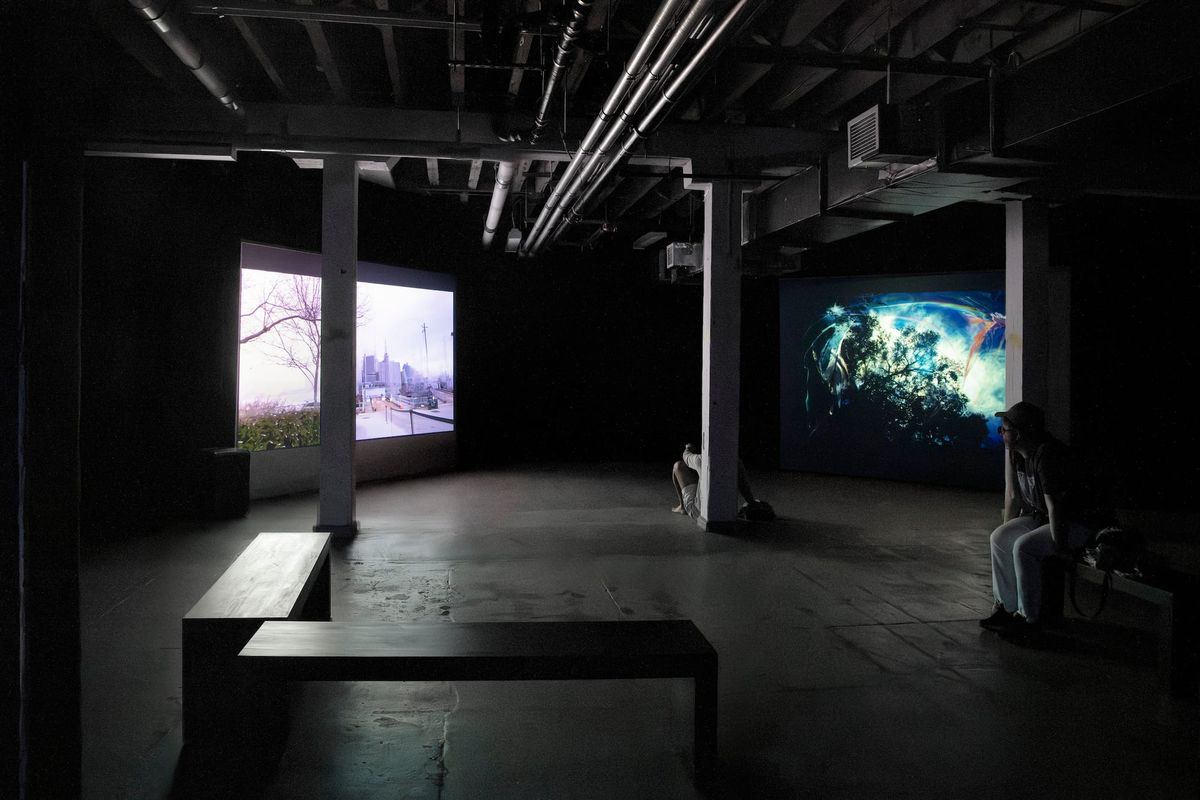 In Governors Island, Seven Video Artists Imagine Radical Futures