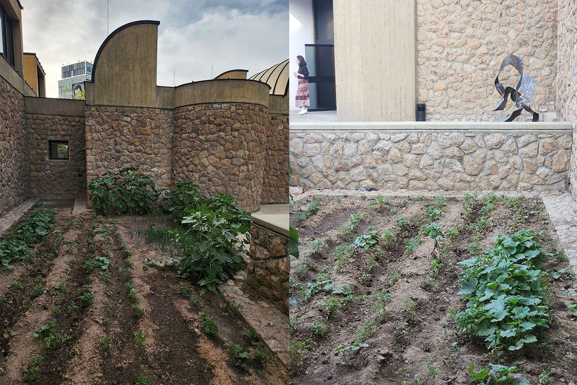 Why on Earth Did Tehran’s Contemporary Art Museum Plant Vegetables in Its Yard?