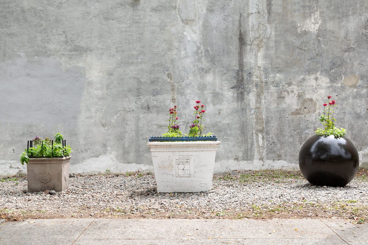 David L. Johnson's Critique of NYC Community Gardens