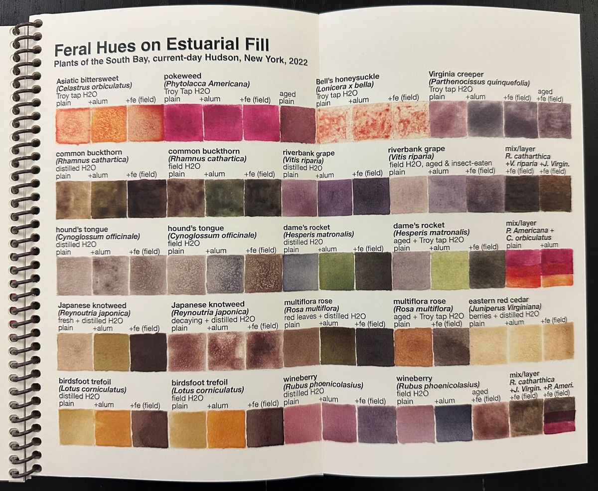 10 Questions for an Artist Who Grows Her Own Pigments