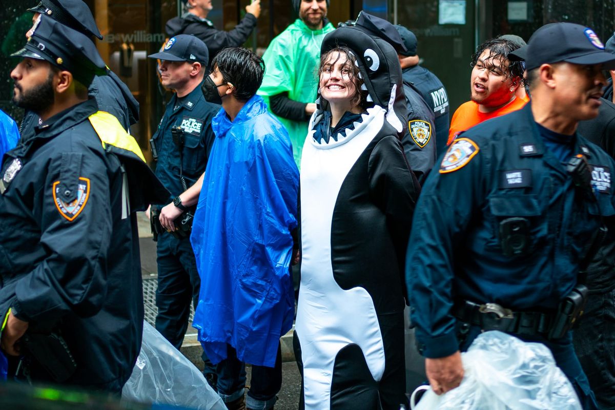 Who Are the Climate Activists Dressing Up as Orcas?