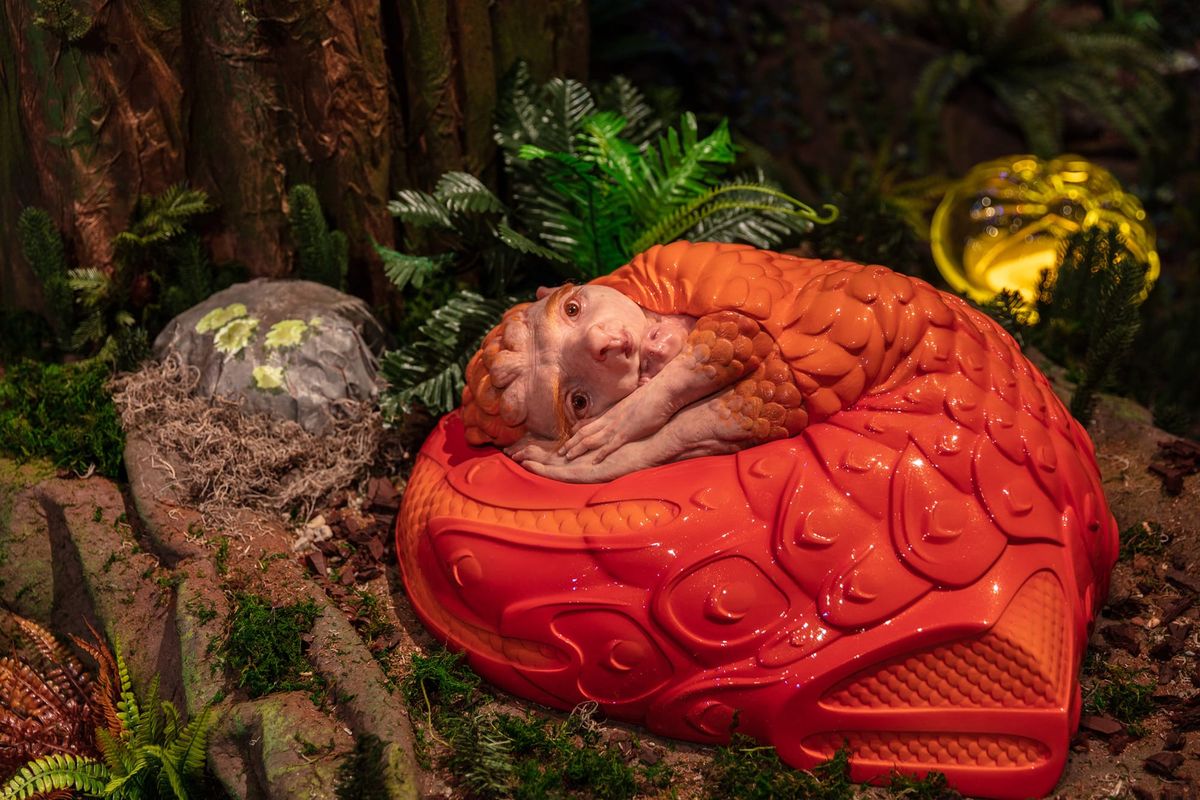 Patricia Piccinini: encounters of another plot