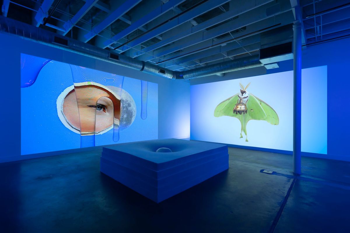 A Luna Moth Goes to the Moon