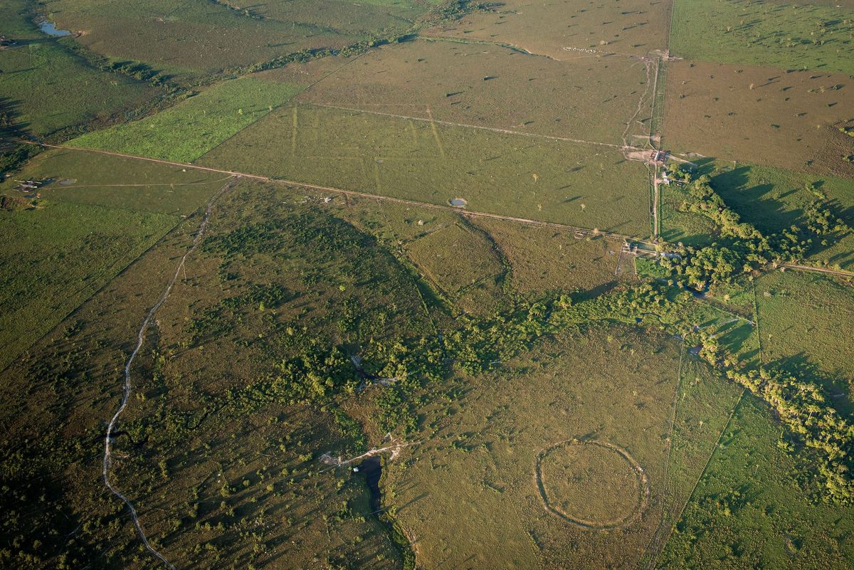 Over 10,000 Earthworks Could Be Hidden in the Amazon
