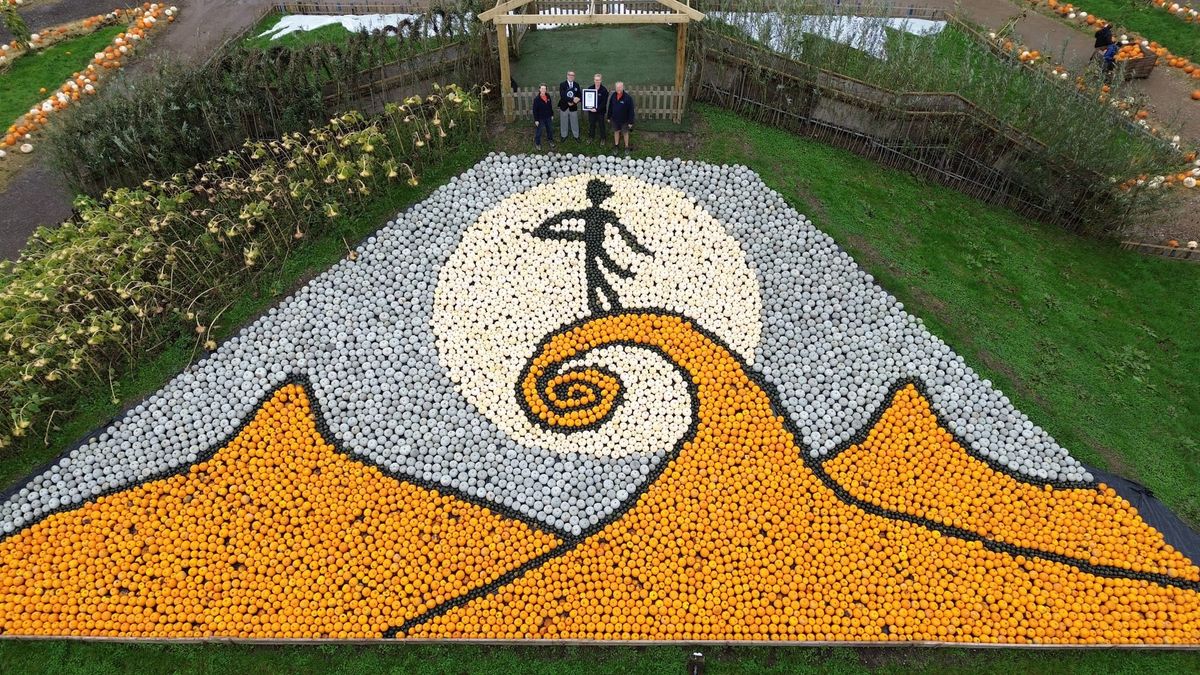 Massive Halloween-Themed Pumpkin Mosaic Sets New World Record