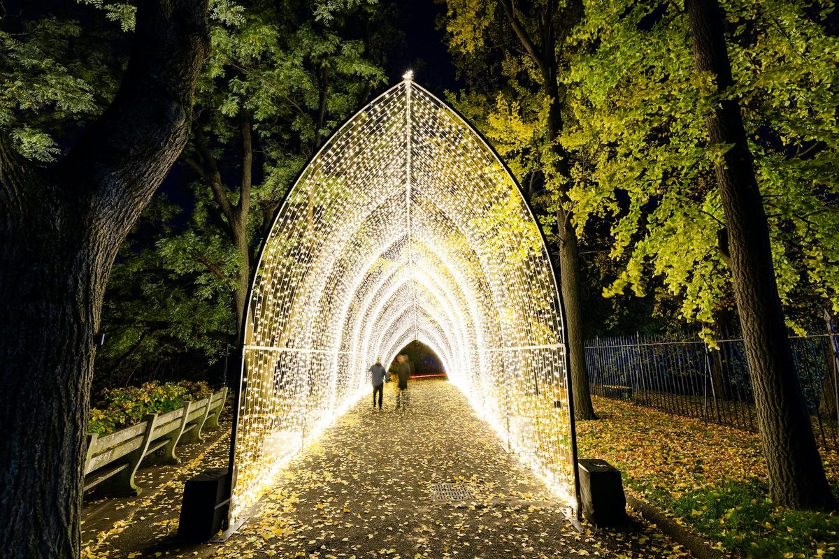 A nighttime photograph of an arched cathedral tunnel made of thousands of tiny bright white Christmas tree lights in Brooklyn
