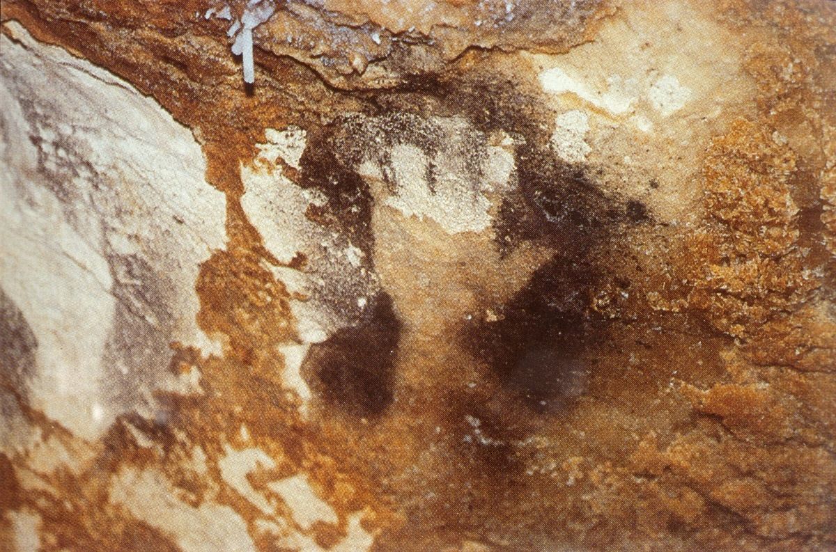 Cave Art Handprints With Missing Fingertips Point to Ritual Amputation
