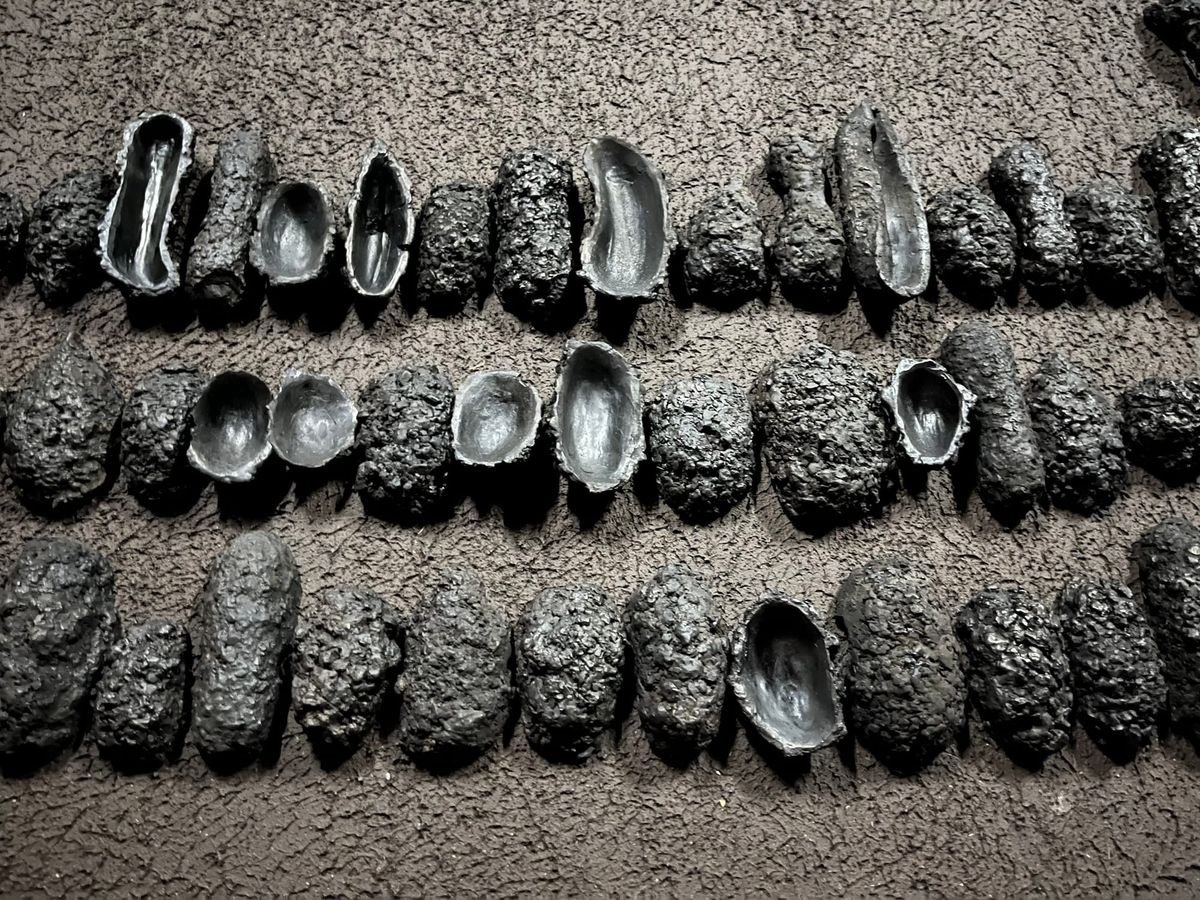 Delcy Morelos Embraces Heaven and Earth