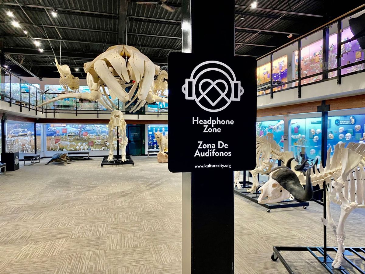 Museums Increase Sensory Inclusivity for Visitors