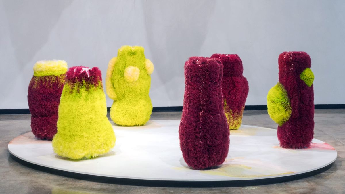 University of Florida Offers a Funded MFA in Studio Art