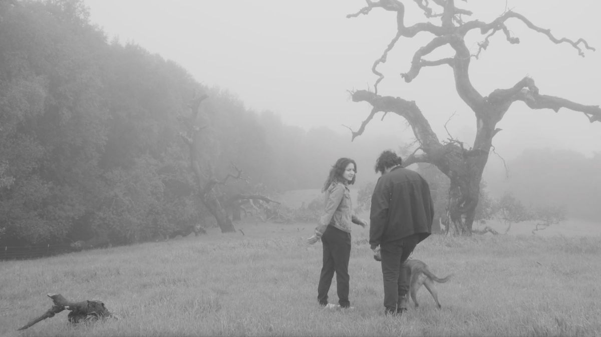 Queer Cinema for Palestine Pushes Back Against Israel’s “Pinkwashing”