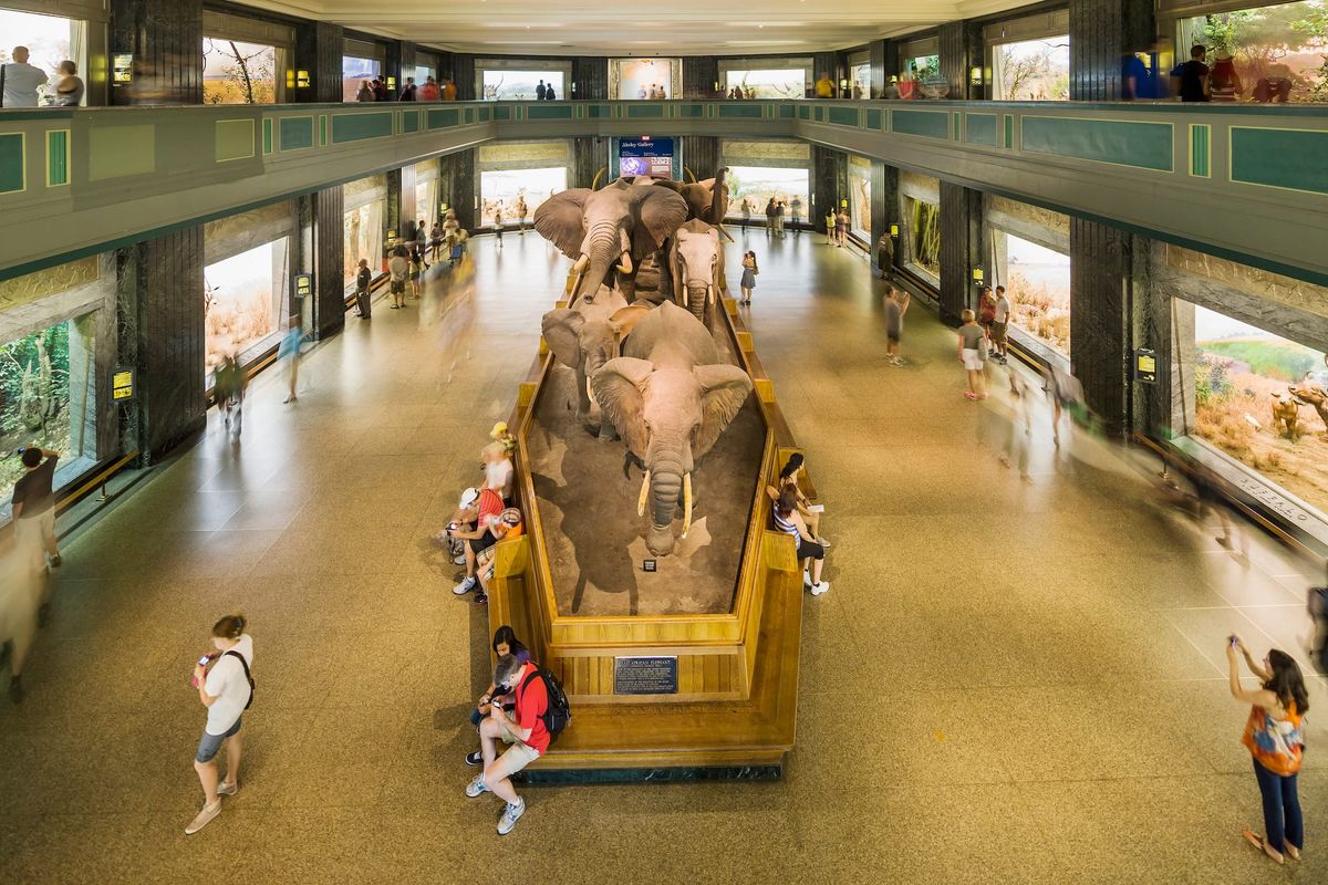 American Museum of Natural History Closes Native Exhibition Halls