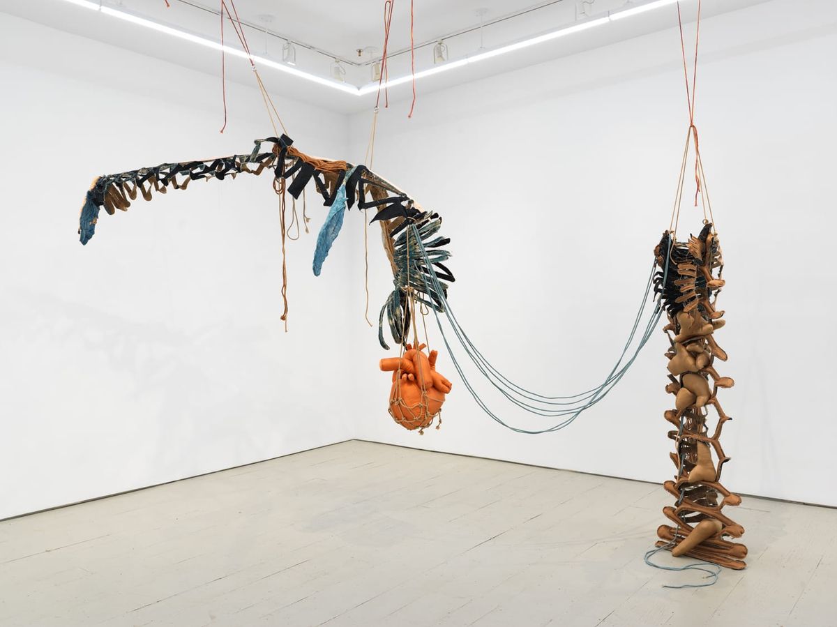 The Bone Magic of Joy Curtis