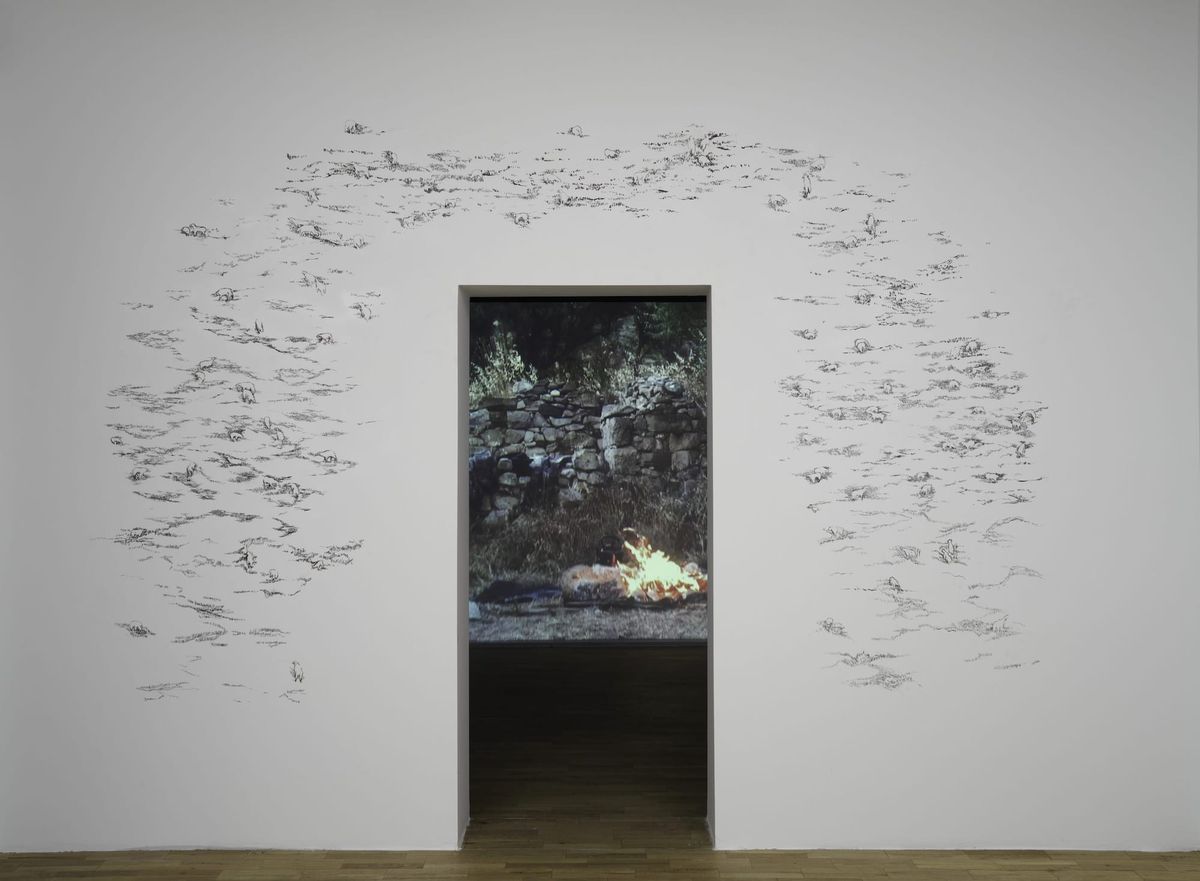 Larissa Araz Unearths Turkey’s Hidden Pasts